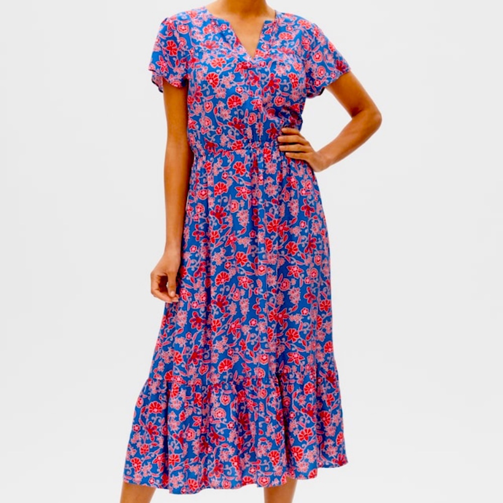 Gap: blue & red floral dress